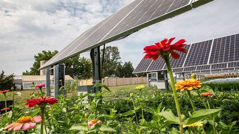 At Chatfield Farms, a 1.2-MW solar garden tracks sunlight over crops and can flatten its panels against hail