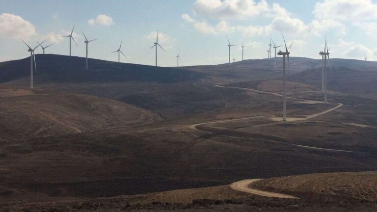 At Jordan’s Tafila wind farm, buried cables reduce bird electrocution risks while spotters can stop turbines for approaching migrants