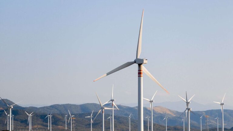 At Oaxaca’s Stipa Nayaá wind farm, radar spots migrating bird flocks so workers can stop turbines before they arrive 17 Wind turbines