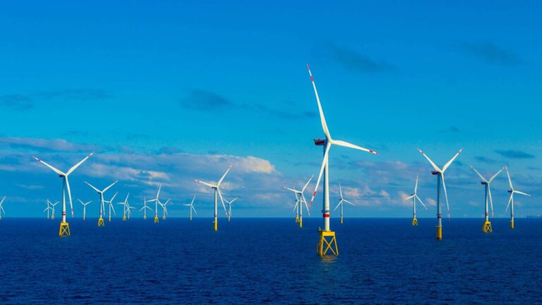 At Sweden’s Kårehamn wind farm, 180 concrete blocks with holes are testing whether fish and mussels seek shelter