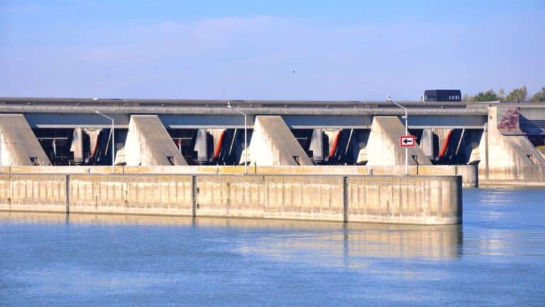 Austria’s Greifenstein dam opened a 3-mile fish bypass, where researchers counted 39 species, including a four-foot-plus catfish, within months