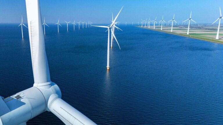 Belgiums next offshore wind giant casts a long shadow over its neighbors and scientists are only beginning to understand its reach