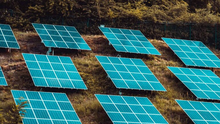 solar panels installed above hay field