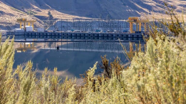 Five spillway openings at Washington’s Wells Dam guide over 90% of several juvenile salmon runs safely past turbines