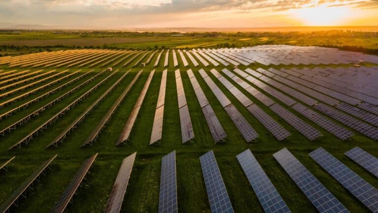 Google and Ignite Energy Access partner to bring off-grid solar power to over 600 million people in sub-Saharan Africa
