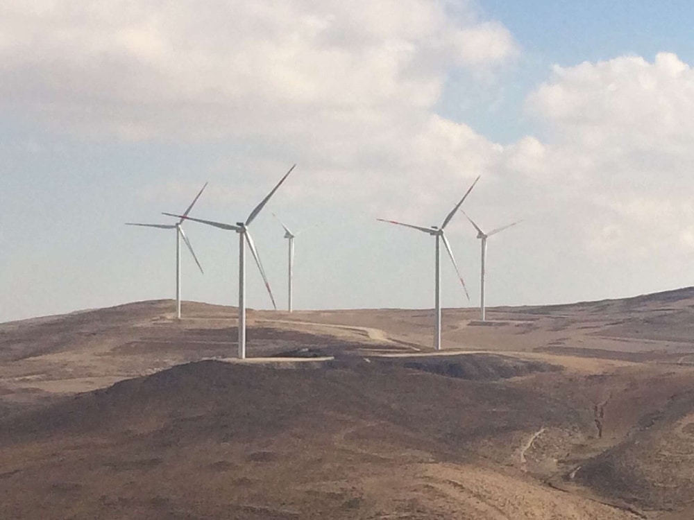 INT At Jordans Tafila wind farm buried cables reduce bird electrocution risks while spotters can stop turbines for approaching migrants