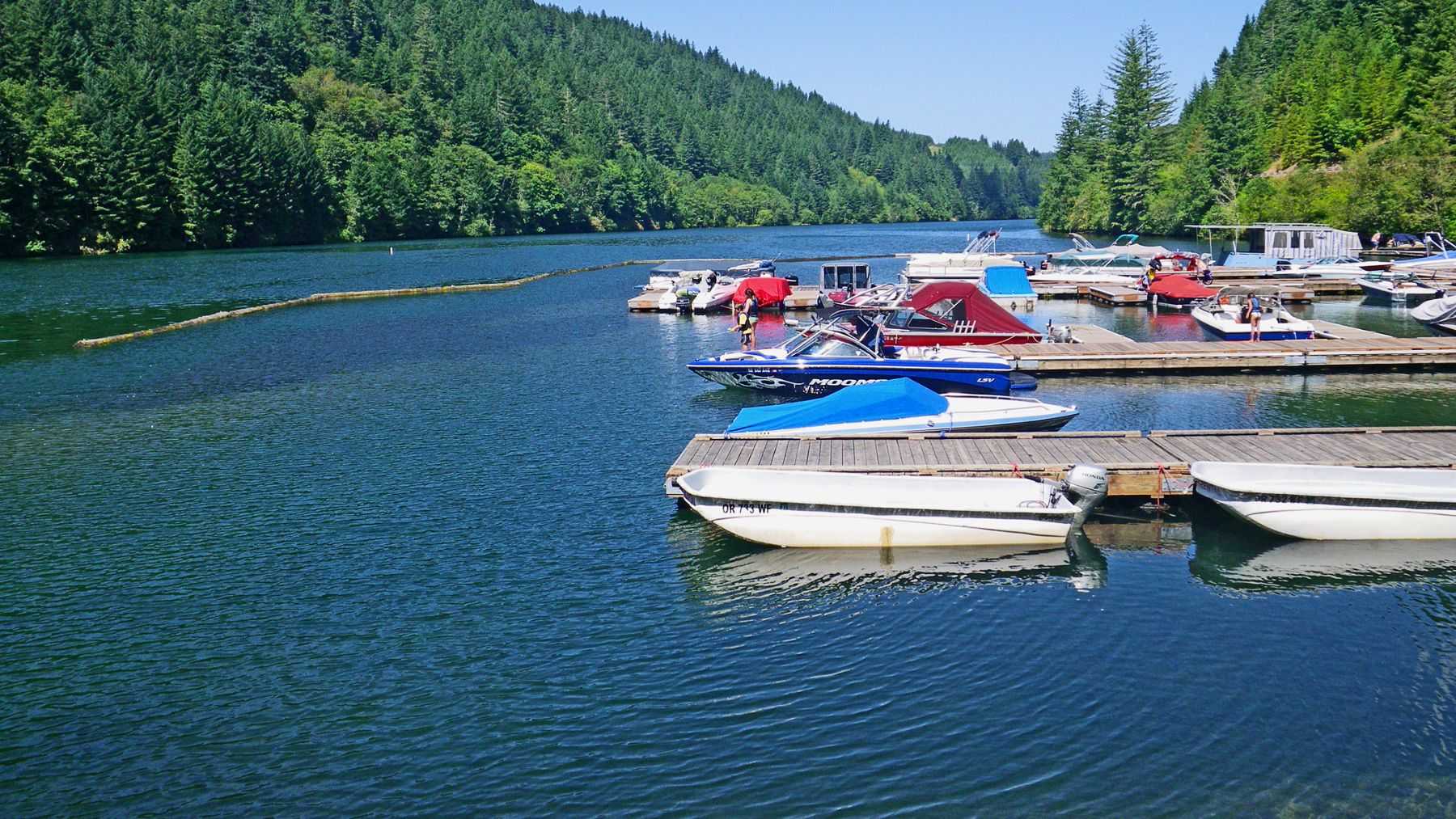 Oregon’s North Fork Dam catches over 90% of young salmon and pipes them seven miles around hydropower barriers 2 INT Oregons North Fork Dam catches over 90 of young salmon and pipes them seven miles around hydropower barriers