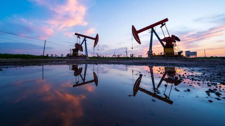 Oil