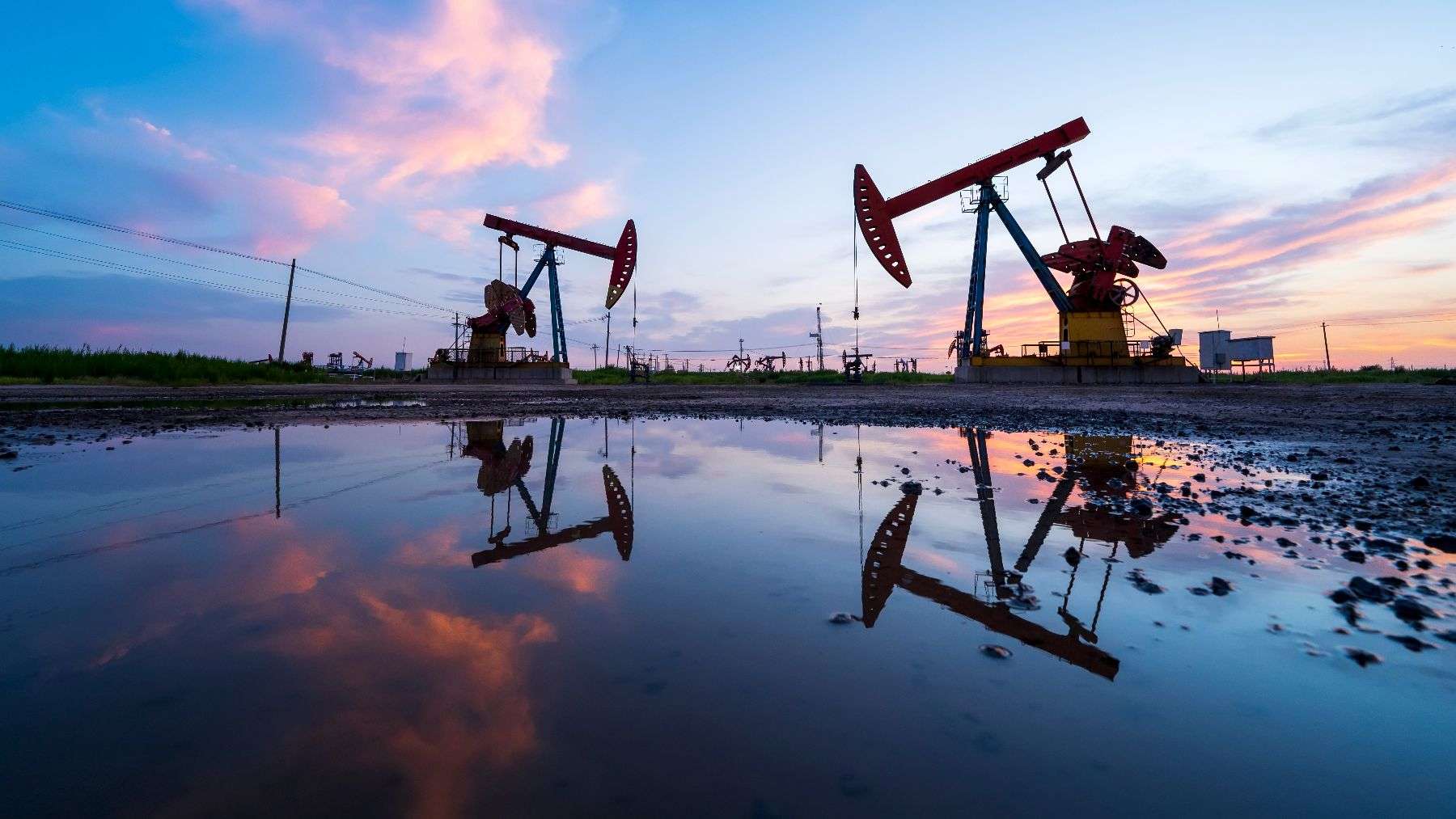 Oil