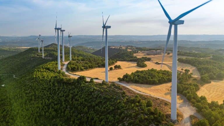 In Moray, Scotland, common gulls flying from Balvalley Moss to feeding grounds got two 1,200-foot “air highways,” and Dorenell pulled turbines inward to keep both routes rotor-free