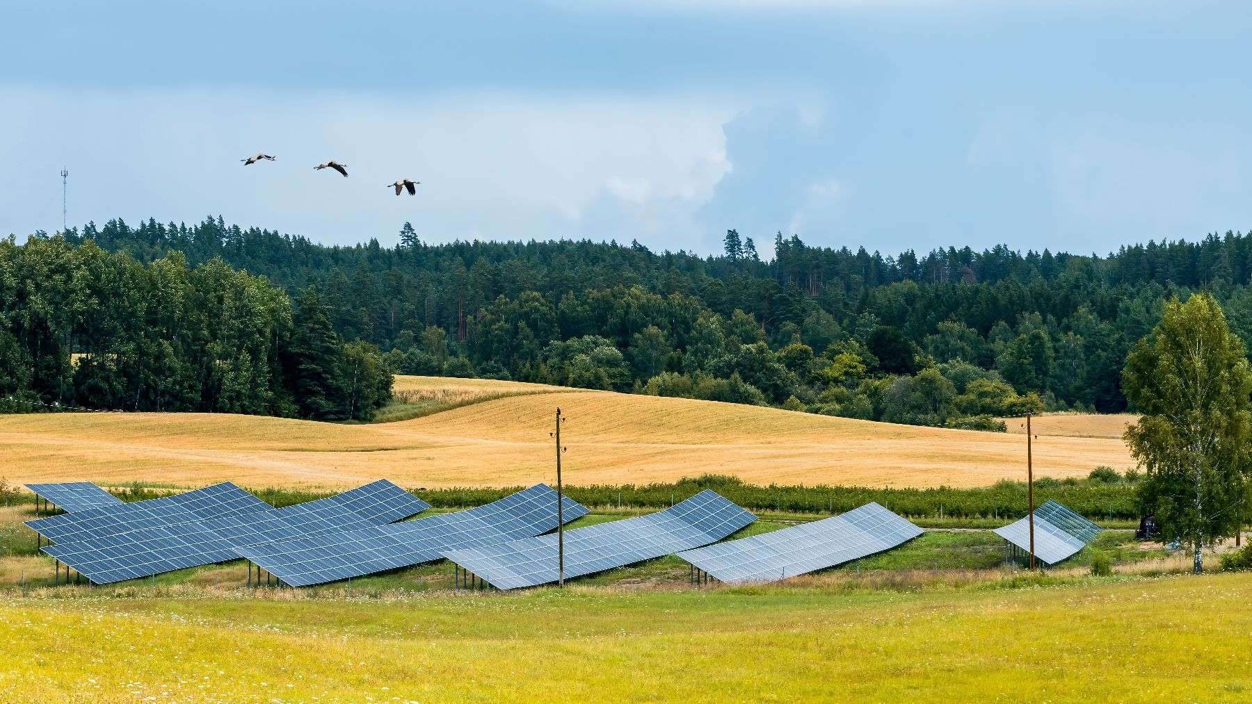 Lightstar pushes a 3.5 MW Illinois community solar project forward, adding another shared-solar development to the state’s pipeline 1 Lightstar 3.5 MW Illinois community solar