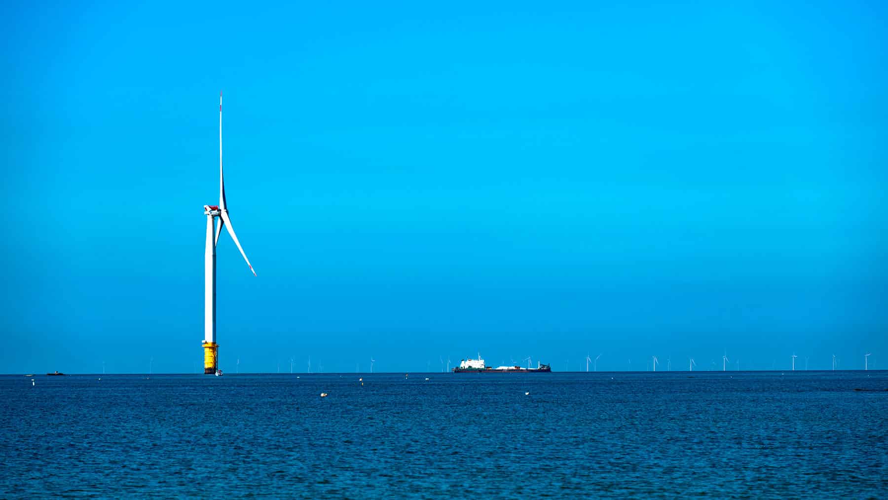 Wind farm