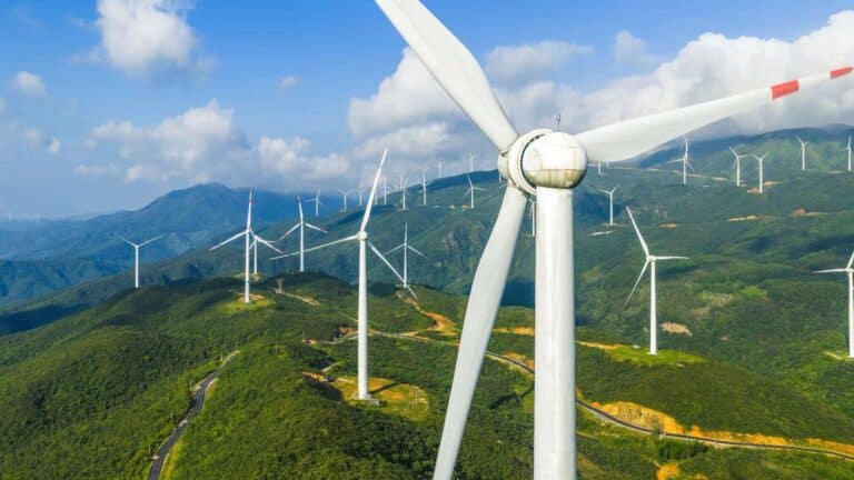 Scotland’s Woodcock Hill wind project removes turbines within 1,500 feet of potential scoter breeding lochs and avoids hen-harrier areas