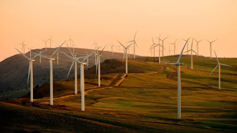 Scout and Oracle 300 MW Texas wind farm