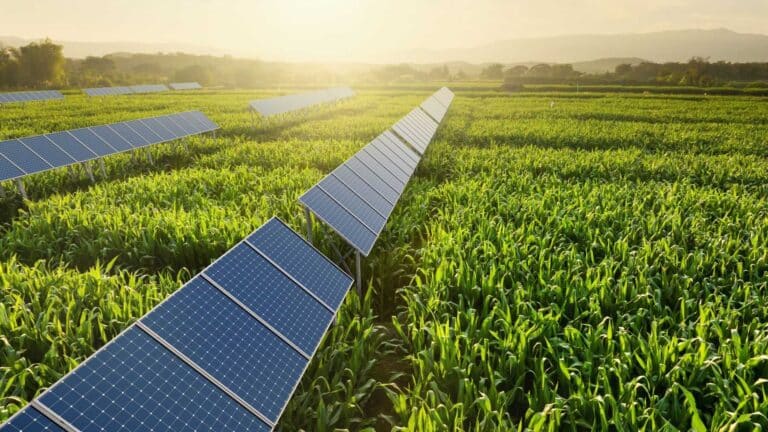 Solar panel hail resilience ratings gain importance as climate change is projected to intensify hailstorms