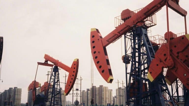 Oil