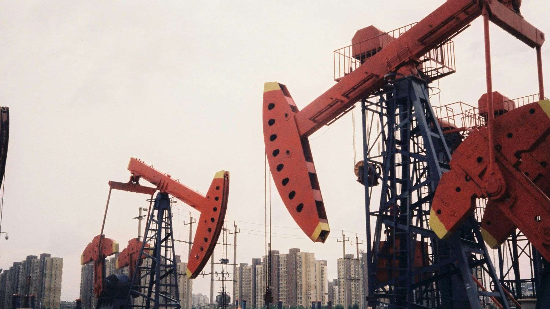 Oil