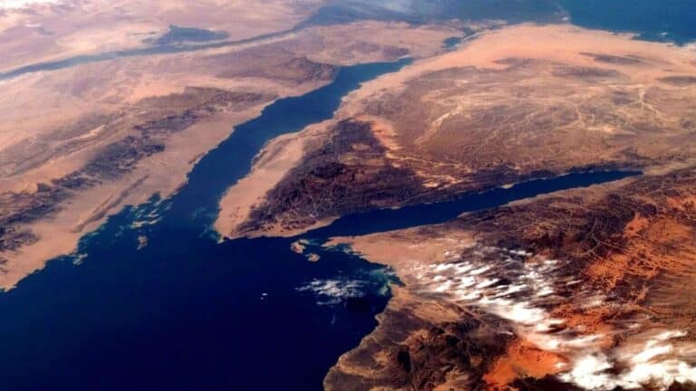 Two million migrating birds cross Egypt’s Gulf of Suez, where radar and observers stop turbines when flocks approach