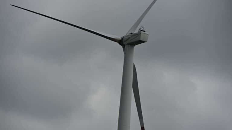 Wind turbines were built to survive a monster gust that decades of real world data suggest almost never comes