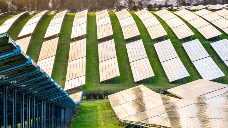 Five years of surveys at Germany’s Lauterbach solar park found skylark territories increased from four to about 20